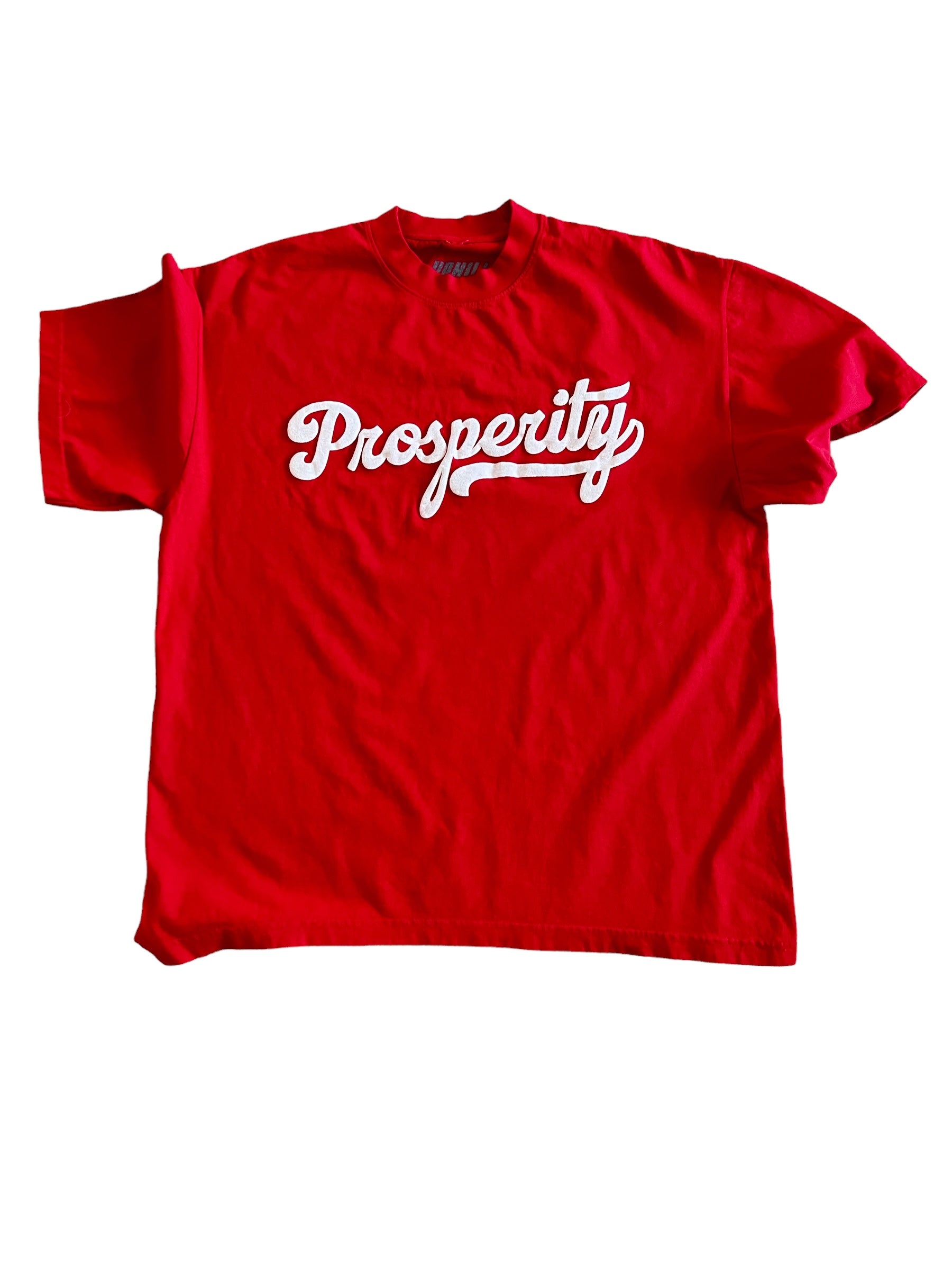 Prosperity Red Puffer Print Oversized short sleeve t-shirt