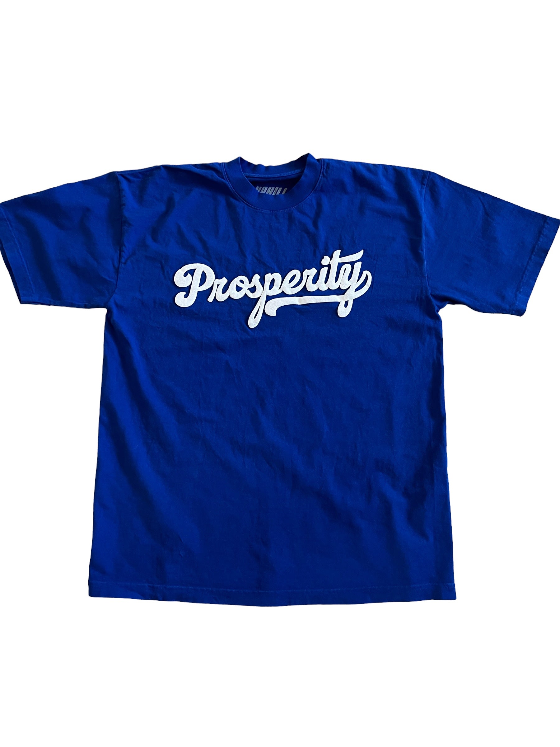 Prosperity Blue Puffer Print Oversized short sleeve t-shirt